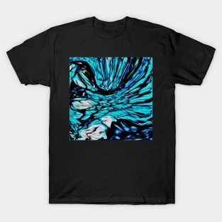 Stocksom Bird Bath T-Shirt